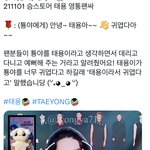 [NCT칠프] 태용이 툥야 안다고 <b>직접</b> 언급함