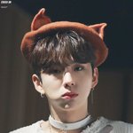 몬엑 자몽기현 짤털