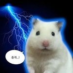 [댓글부탁해] 얘들아 앞머리를 <b>이마</b>에 딱 붙일려면.어케해야해