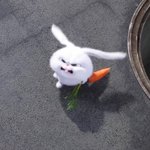 [댓글부탁해] 고3들 진짜 수능끝나면 공부안해??