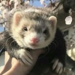 [댓글부탁해] 혹시 얘네 <b>이름</b>아는<b>사람</b>???ㅠㅠㅠ