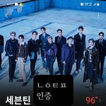 [세븐틴] 행복하게 덕질하자