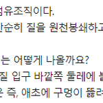 [방탈죄송] 많은 사람들이 모르는 성<b>지식</b>
