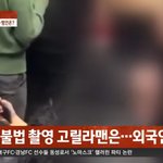 [추반] 베플간 할로윈 몰카 한남 결과.jpg