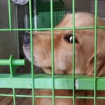 우리 <b>애기</b> 귀엽지?