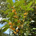 난벌써 수능 끝난거같은데 <b>우짬</b>