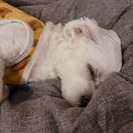 [엔하이픈] 마음이가 <b>정원</b>이 닮았네