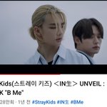 [스키즈] 내가 사랑하는 <b>투샷</b>