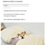 등산객 불륜하는 사람들의 암호