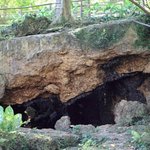 기네스북에 오른 박쥐 동굴 ㄷㄷ