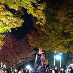 [스키즈] 뉘신지 모르겠사오나  감사드려요