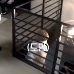 이거 뭔 영상인지 아는사람 ㅈㅂ