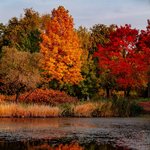 [NCT칠프] 오늘 <b>서울숲</b> 풍경이나 봐라