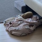 [드루와] <b>울집</b> 강아지 자는 중