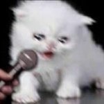 [NCT드림] 오늘밤 마마 <b>노미</b>네이션