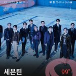 [세븐틴] 뮤.빗 모으자