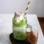 호로록 <b>사라</b>질까 두려운 라테 거품