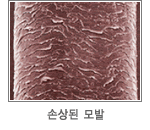 저녁에 머리감고 안말린 채로 잠들면 생기는 참사