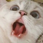 [댓글부탁해] 얘들아 이 상황에서는 이렇게 대처하는 게 맞지?