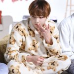 [엔하이픈] 콩알딱지 <b>한입</b>에