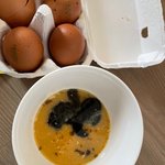 [이것좀봐줘] <b>롯데</b>백화점 부산본점에서 구매한 계란 좀 봐주세요!