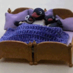 <b>폼롤러</b> 하니까