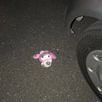 [드루와] 니네라면 뭐살거임? 추반ㄱ