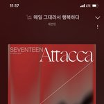 [세븐틴] 우리 다음에는 다운 독려 더 열심히 하자