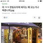 [드루와] 헌팅<b>포차</b>에 돼지는 안오는게 맞는듯