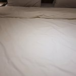 [널리퍼트려] 울산 ㅂㄹㅇㄷㅌ ㅈㅈㅎㅅㅇㅈ점 사장의 갑질 조언 부탁드립니다