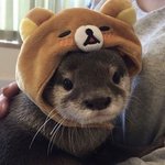 [드루와] 콴다 한 시간째 <b>매칭</b> 안 되는데