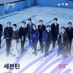 [세븐틴] 혹시 포카판 <b>탈출</b>한 럿 있니