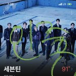 [세븐틴] 근데 방점은 뭐로 집계되는거야?