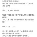 방탄 이게 뭐야..?