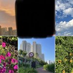 [NCT드림] 엔시티드림 좋아하기 전 후 <b>인스</b>ㅌ 피드 차이