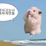 [댓글부탁해] 감성<b>힙합</b>? 이런 거 추천 좀
