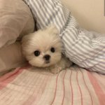 [드루와] 니네 <b>서아</b> 알아??