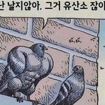 요즘도 후드<b>집</b><b>업</b> 소매 접고 다님?