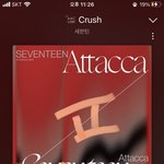 [세븐틴] 짹 <b>투표</b> 질문