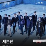 [세븐틴] ㅅㄷ 온콘 볼까 말까