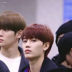 [NCT칠프] 나 늦덕인데 이거 무슨활동이야??