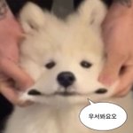[댓글부탁해] 남자애들은 뭐 더 좋아함?