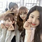 [댓글부탁해] 사쿠라 김채원 장원영 안유진 팬들아