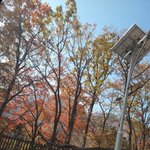 [NCT칠프] <b>설악산</b>왔다