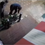 화분도둑 신고한지 1년. 수사종결. 그것들은 안잡히고 잘살고있겠지...