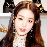 장원영 <b>인형</b>인줄