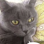 [군대] 헐 <b>모야</b> <b>모야</b> 오랜만에 왓는데