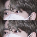 <b>재현</b>