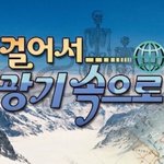 [댓글부탁해] 나 <b>퍼</b><b>컬</b> 뭘까 ㅠㅠ