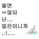 [드루와] 문과 최저 판녀 13일의 기적